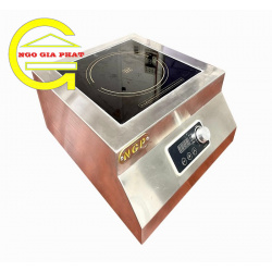 BẾP ĐIỆN TỪ ĐƠN ĐỂ BÀN